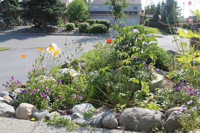 Front garden.JPG