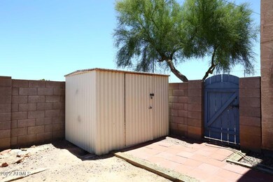 Backyard-Shed2