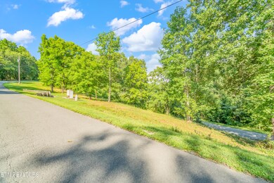Lot 1 Shanghai Landing Ln, Lafollette, TN 37766 - photo 6