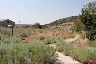 20 River Rd, Durango, CO 81301 - photo 4