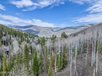 8550 N Uinta Dr unit 759, Oakley, UT 84055 - photo 4