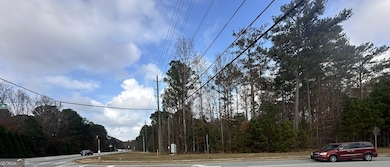 0 Hilo Rd unit 10647506, Fayetteville, GA 30215 - photo 5