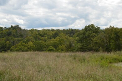 0 Bear Creek Rd, Lawrenceburg, KY 40342 - photo 2