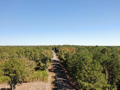 00 Weoka Rd, Wetumpka, AL 36093 - photo 3