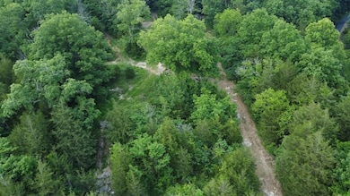 738 Rogues Fork Rd, Bethpage, TN 37022 - photo 3