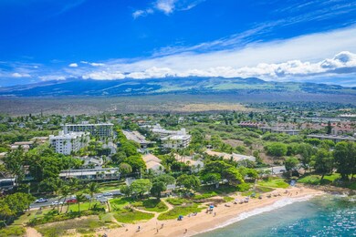 Maui Banyan