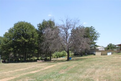 116 Marsh Salt Ct, Springtown, TX 76082 - photo 3