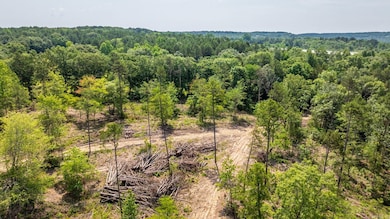 Tract 6 Harmony Mountain Rd, Clinton, AR 72031 - photo 5