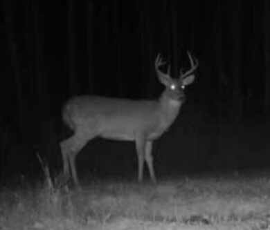 0 Roberts Lake Rd unit 25758611, Laona, WI 54541 - photo 3