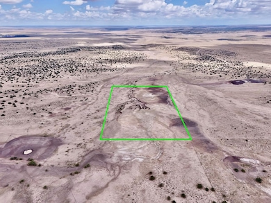 Tbd N6120, Saint Johns, AZ 85936 - photo 5