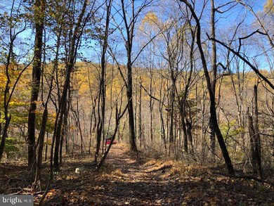 0 Gid Brown Hollow Rd unit VARP2000702, Washington, VA 22747 - photo 4