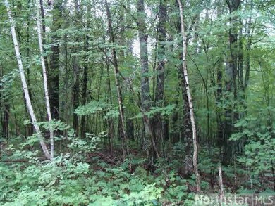 0 Spotted Fawn Rd unit 4591528, Danbury, WI 54830 - photo 4