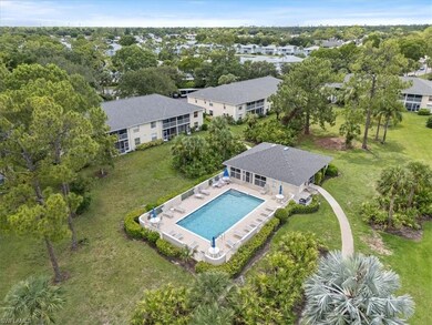 Bird's eye view of a pool