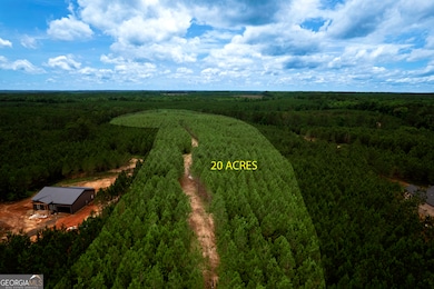 375 Bagley Rd, Forsyth, GA 31029 - photo 5