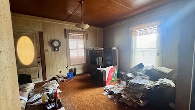 452 E Washington St, Arcola, IL 61910 - photo 7