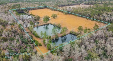 152 Alaska Brown Rd, Crawfordville, FL 32327 - photo 6