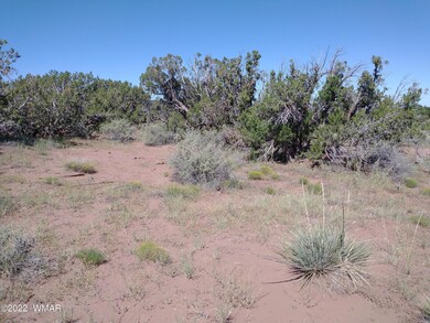 4056 Sorrel Rd, Snowflake, AZ 85937 - photo 3