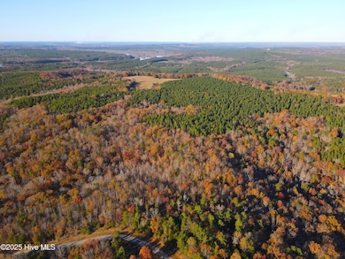 176 S Lakeview Dr, Rockingham, NC 28379 - photo 7