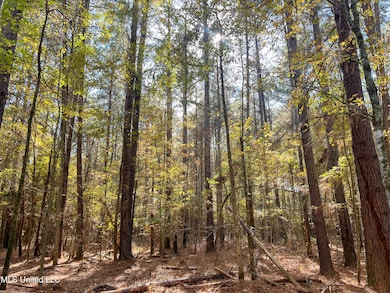 0 80 8 Acres, Carthage, MS 39051 - photo 6