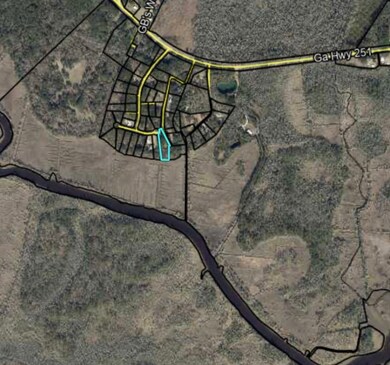 Lot 21 Black Cypress Dr, Darien, GA 31305 - photo 6