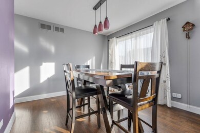 897 N Camden Ln, South Elgin, IL 60177 - photo 5