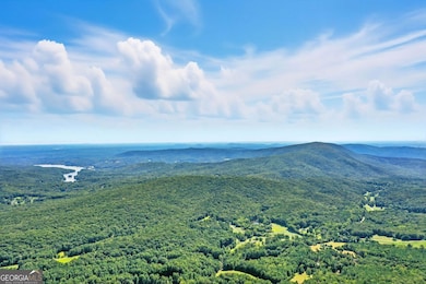 0 Debord Dr unit 10594515, Waleska, GA 30183 - photo 3