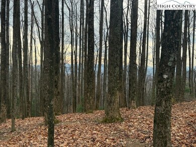 TBD Jobs Rd, Laurel Springs, NC 28644 - photo 4