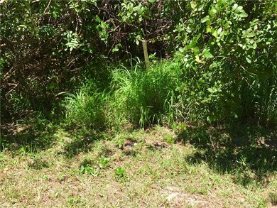 On a slight grade, pepper trees -- easy clearance.