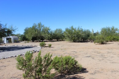 Desert Rose 4