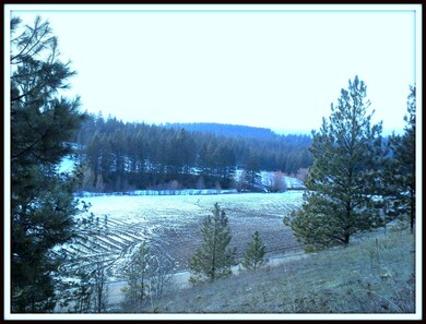 Beautiful year round views