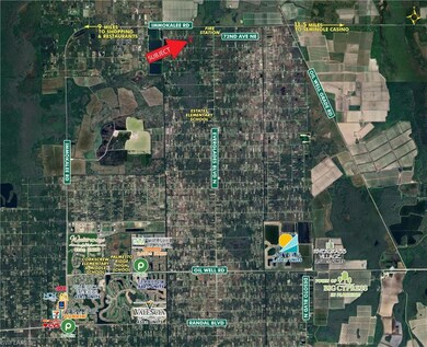 Zoomed Out
