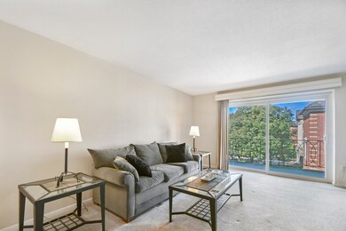 15 Francis St unit 36, Brookline, MA 02446 - photo 7