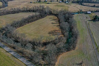 Tract 1B Perryville Rd, Harrodsburg, KY 40330 - photo 3