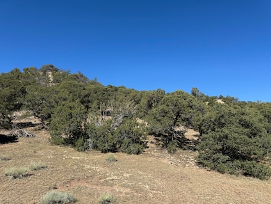 L41 Co Rd 531 Cl&g Unit Bb, Walsenburg, CO 81089 - photo 6