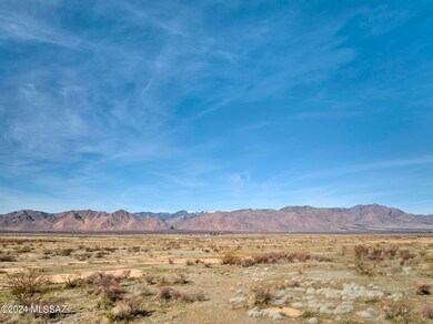 40.74 Acre N Dill Rd unit 302, San Simon, AZ 85632 - photo 3