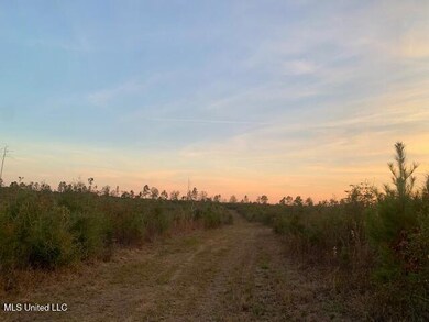 1906 Wildwood Ln SE, Ruth, MS 39662 - photo 5