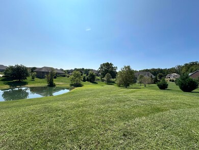 207 Morgan Ct, Nicholasville, KY 40356 - photo 4