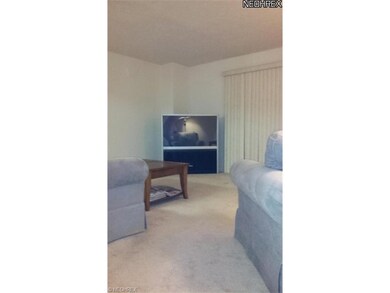 Living room area with neutral carpet and walls.  S