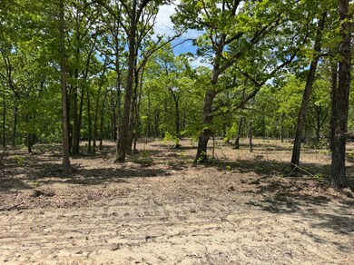 TBD Missouri 7, Roach, MO 65787 - photo 7