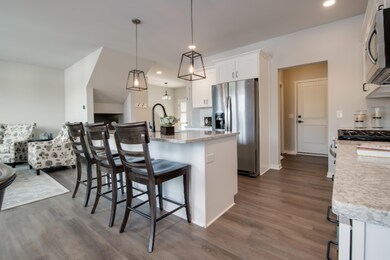 1 17 2019_TW-01-22_Carbon_Kitchen_Island