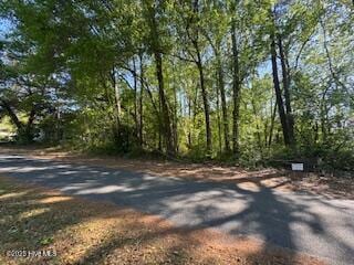 0 5th St unit 100501693, Hamlet, NC 28345 - photo 3