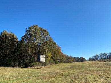 2415 Fm 698, Nacogdoches, TX 75964 - photo 6