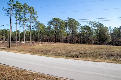 LOT 4 SW 129th Terrace Rd, Ocala, FL 34481 - photo 3