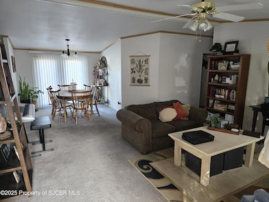 511 N Executive Dr, Bloomfield, NM 87413 - photo 5