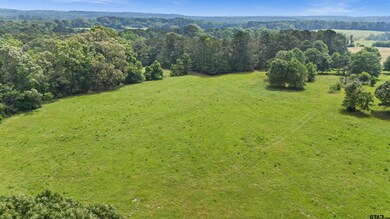 20046 Us Hwy 69s, Alto, TX 75925 - photo 2