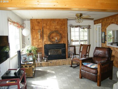 Fireplace Gas Burning Stove/Insert