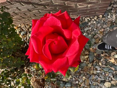 621 Excalibur St unit 143, North Salt Lake, UT 84054 - photo 4