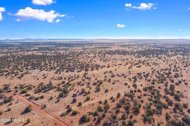 8755 Hawkeye Cir unit Lot C, Williams, AZ 86046 - photo 6