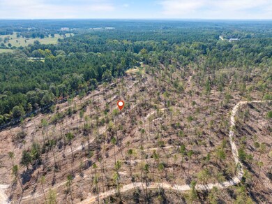 8.24 +/- Acres Noel Townsend Rd, Seminary, MS 39429 - photo 7