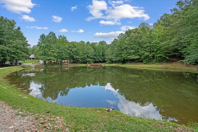 1828 Roosterville Rd, Roopville, GA 30170 - photo 5